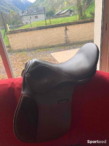 Selle de cheval 