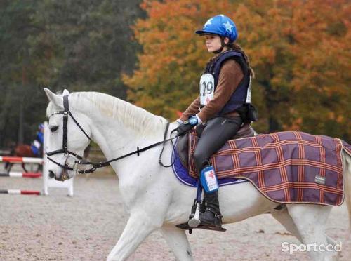 Equitation - Couvre rein  - photo 3