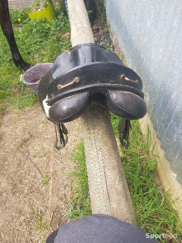 Equitation - Selle  Sommer Toselli - photo 5