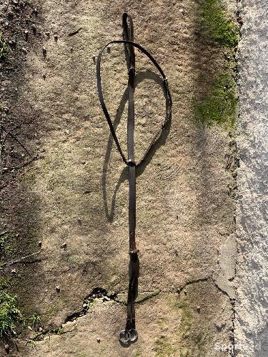 Martingale à anneaux 