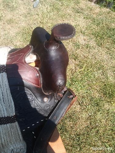 Selle western portugaise 