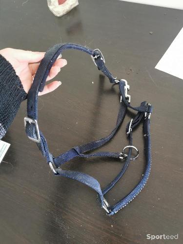 Equitation - Licole taille poney bleu  - photo 3