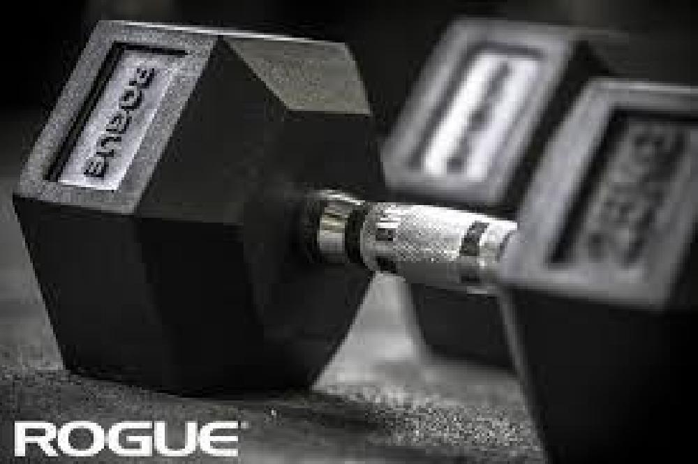 Musculation - Haltères Rogue X2 poids 17,5kg neuf - photo 1