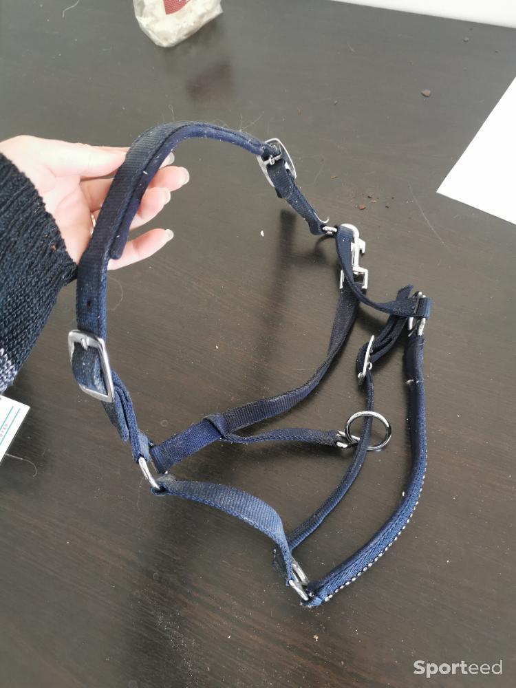 Equitation - Licole taille poney bleu  - photo 2