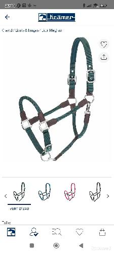 Equitation - Licol + longe d'attache Félix Buhler  - photo 6