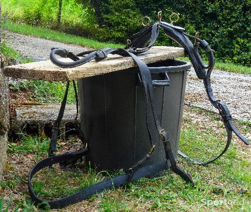 Equitation - Matériel d'attelage pour petits chevaux et poneys - photo 6