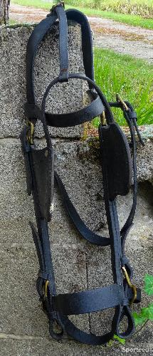 Equitation - Matériel d'attelage pour petits chevaux et poneys - photo 6