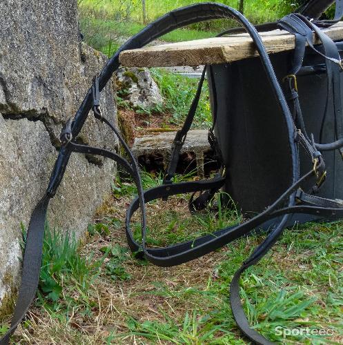 Equitation - Matériel d'attelage pour petits chevaux et poneys - photo 6