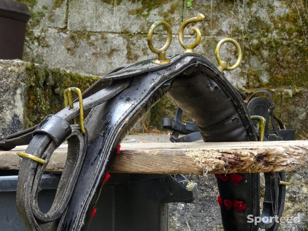 Equitation - Matériel d'attelage pour petits chevaux et poneys - photo 1