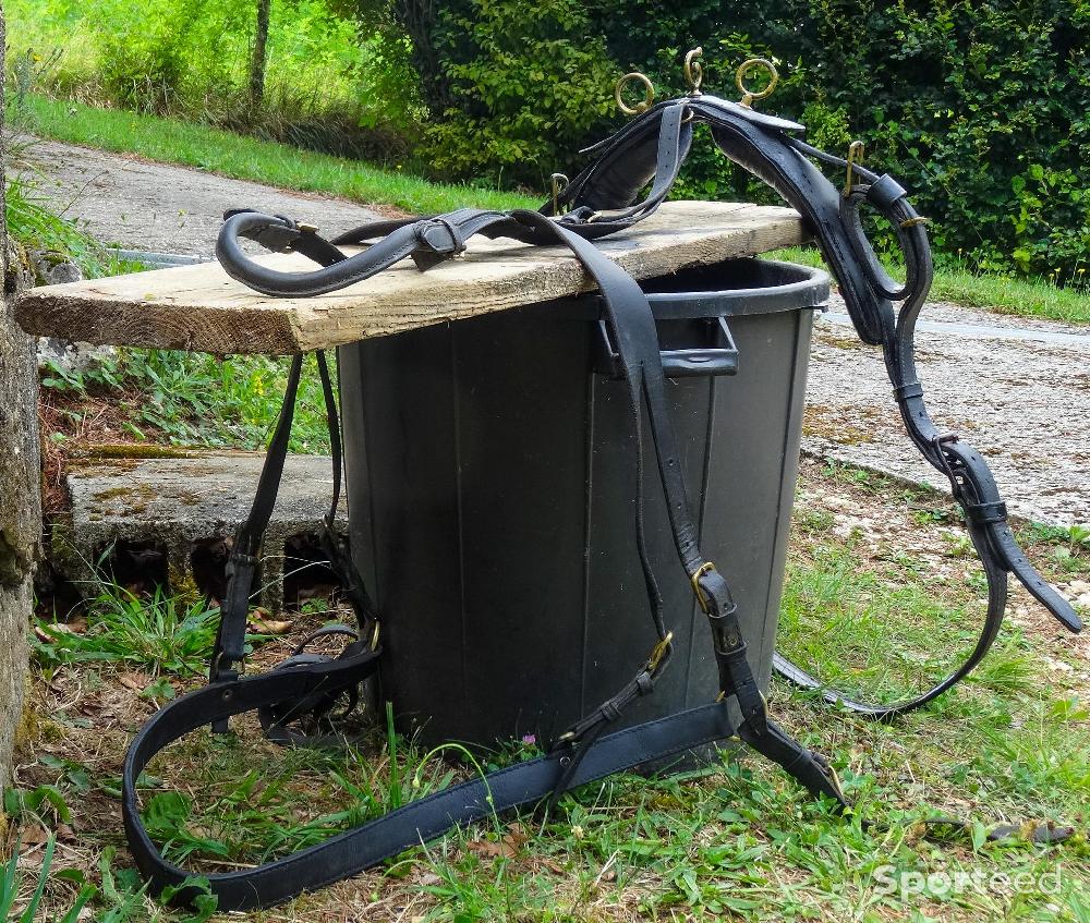 Equitation - Matériel d'attelage pour petits chevaux et poneys - photo 2