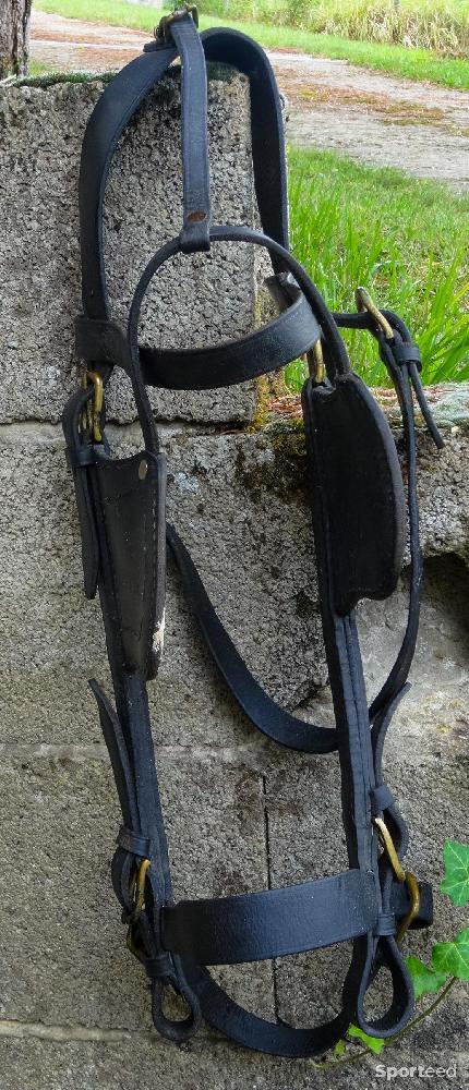 Equitation - Matériel d'attelage pour petits chevaux et poneys - photo 3