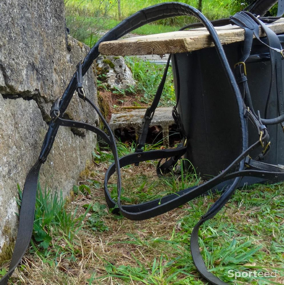Equitation - Matériel d'attelage pour petits chevaux et poneys - photo 4
