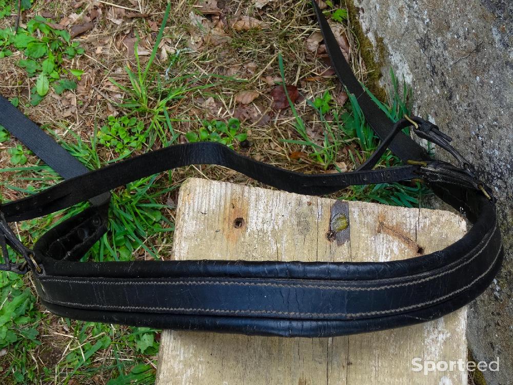 Equitation - Matériel d'attelage pour petits chevaux et poneys - photo 5