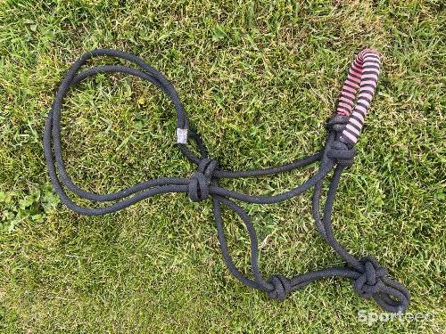 Equitation - Licol éthologique  - photo 4