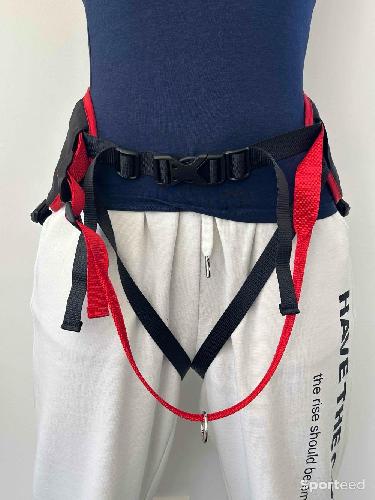 Course à pied trail - Baudrier ludus performance cani-cross - photo 6