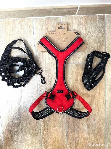 Harnais Chien Kyflie Harnais canicross Otium Taille 4 Rouge 48/54 x 61/69 cm