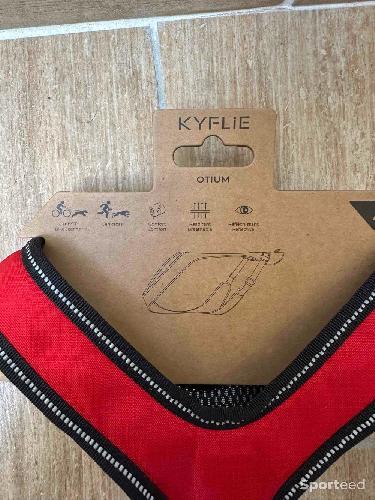 Course à pied trail - Harnais Chien Kyflie Harnais canicross Otium Taille 4 Rouge 48/54 x 61/69 cm - photo 6