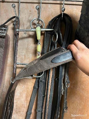 Equitation - Bavette CWD - photo 5