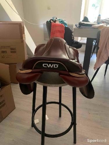 Equitation - Selles CWD - photo 6