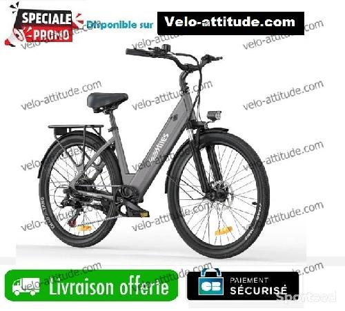 Hillmiles Milecity 1 Vélo électrique 26' Moteur 250W Batterie Amovible 36V 13Ah