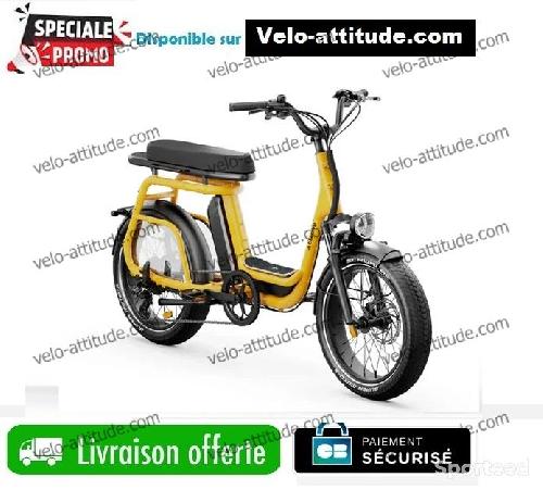 Vélo cargo électrique Elwing Ritmic Duo