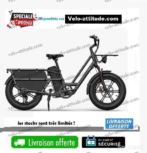 Fiido T2 Vélo électrique Longtail Fatbike Cargo