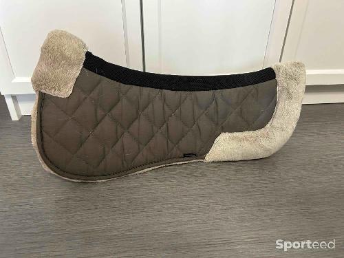 Amortisseurs cheval