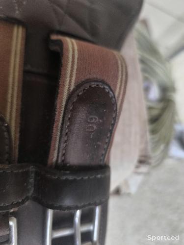 Equitation - Sangle bavette courte Prestige - photo 6