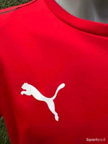 Football - Maillot Stade Rennais  - photo 6