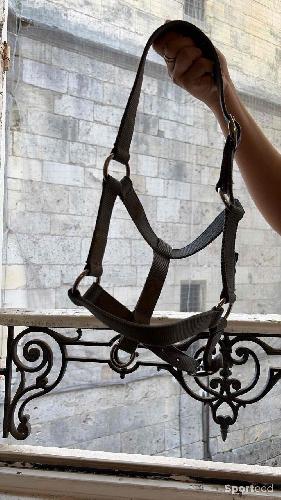 Equitation - Licol gris - photo 3