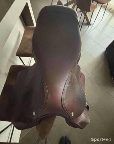 Equitation - selle de cheval - photo 6
