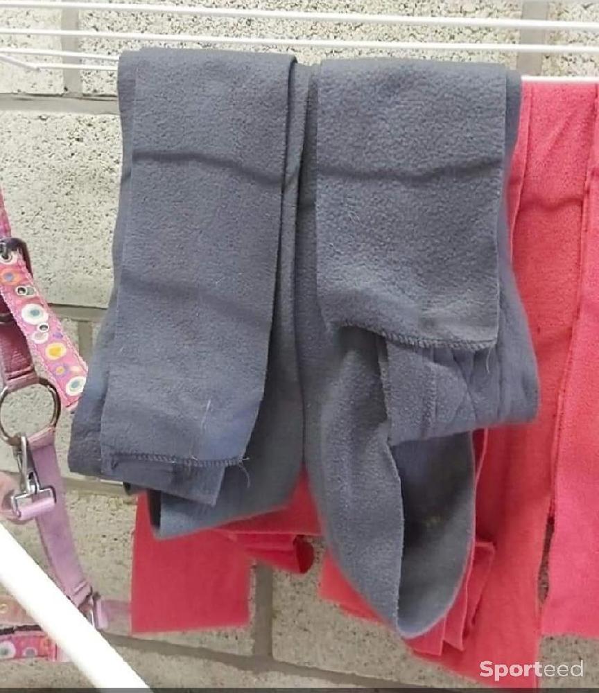 Equitation - 2 bandes jumptec  - photo 1