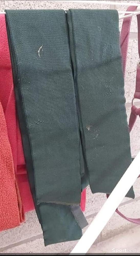 Equitation - 2 bandes élastiques  - photo 2