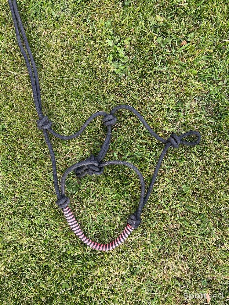 Equitation - Licol éthologique  - photo 1