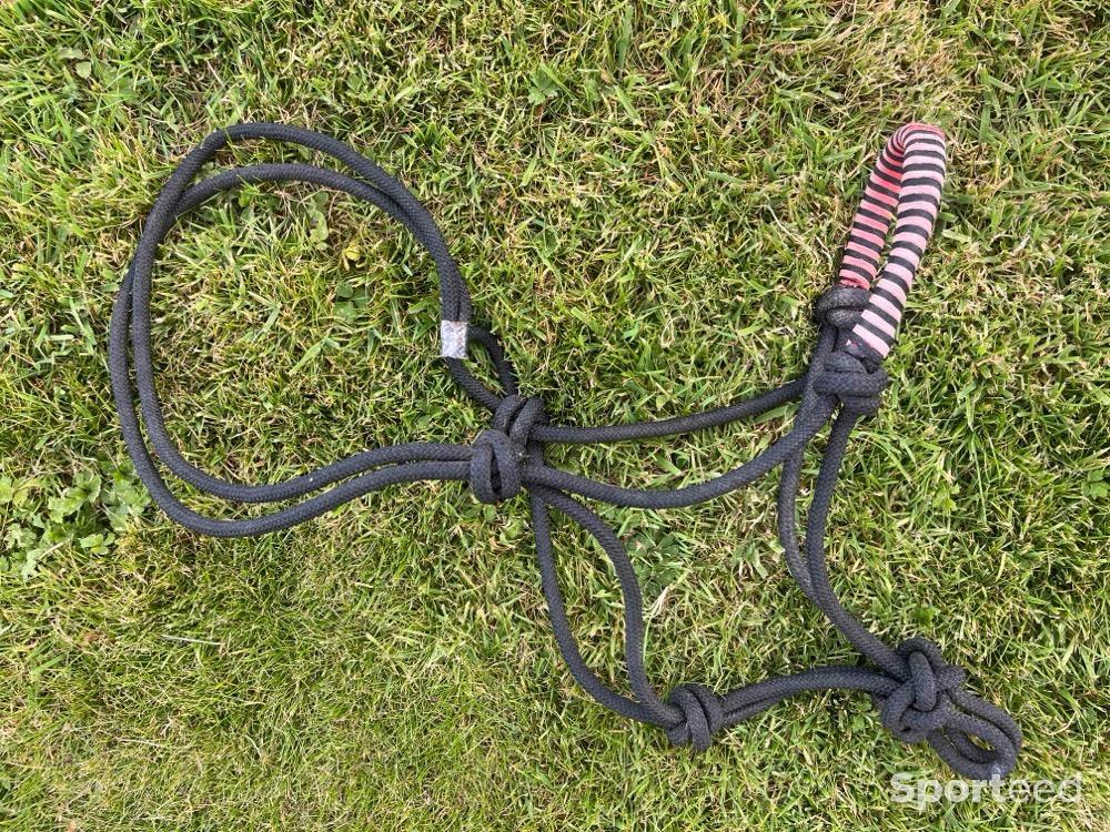 Equitation - Licol éthologique  - photo 3