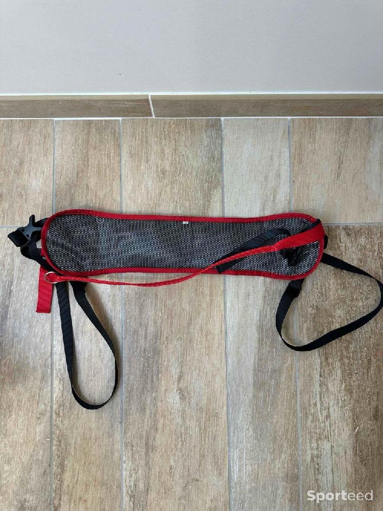 Course à pied trail - Baudrier ludus performance cani-cross - photo 4