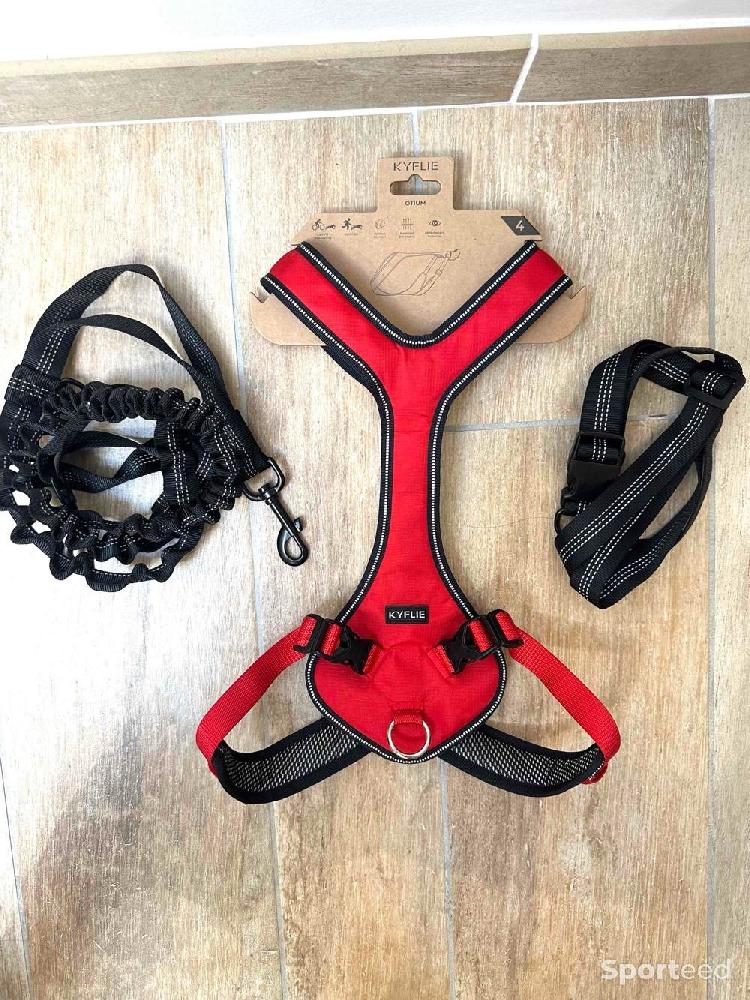 Course à pied trail - Harnais Chien Kyflie Harnais canicross Otium Taille 4 Rouge 48/54 x 61/69 cm - photo 1