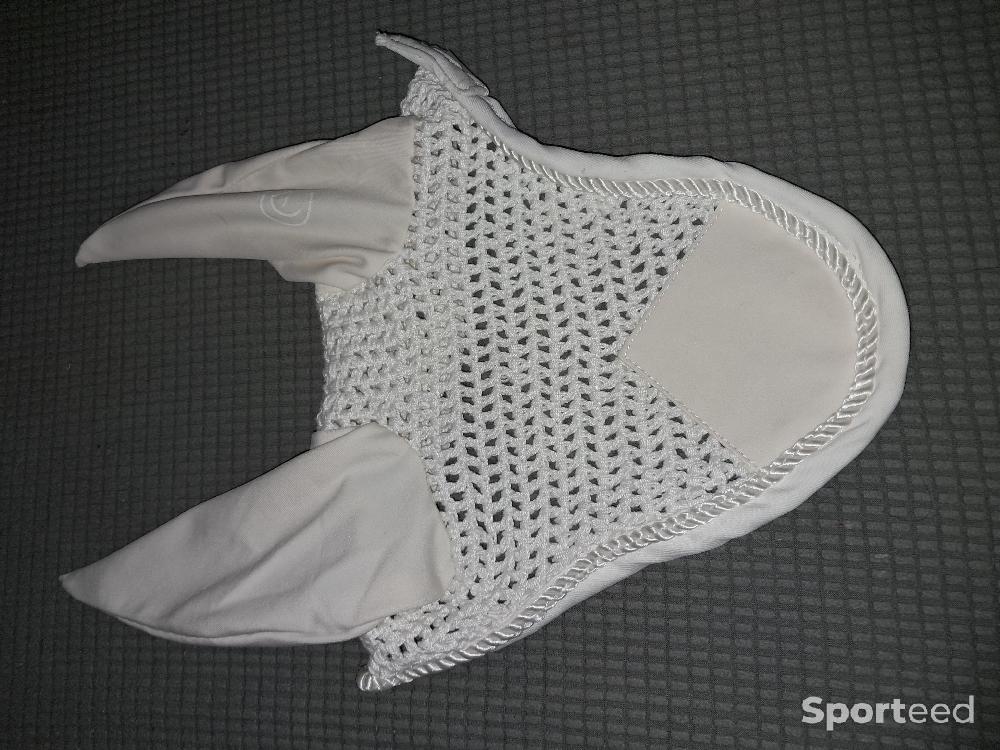 Equitation - Bonnet pour cheval - photo 1