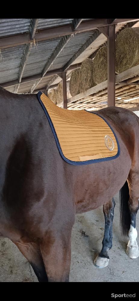 Equitation - Tapis dressage Harcour karembar  - photo 1