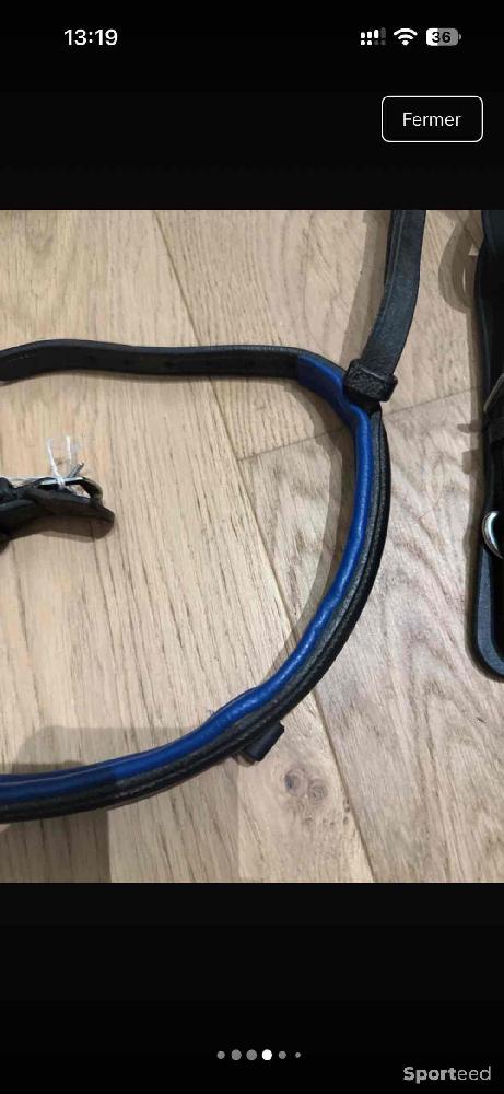 Equitation - Lot de muserolle, montants et frontal - photo 3