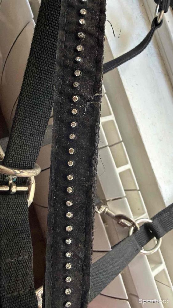 Equitation - Licol avec strass - photo 2