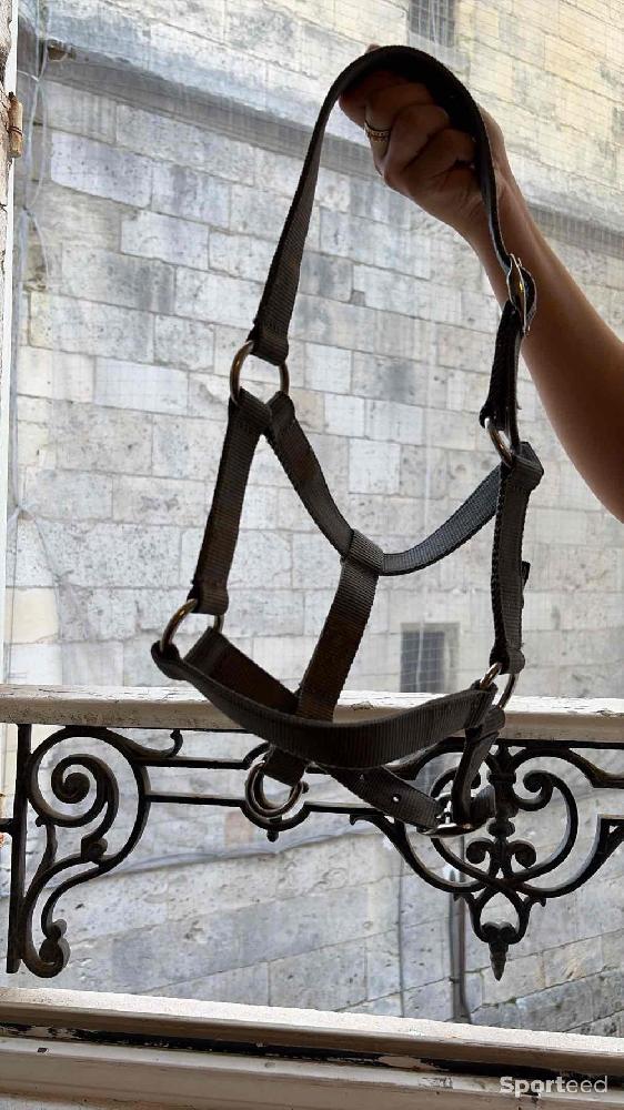 Equitation - Licol gris - photo 2