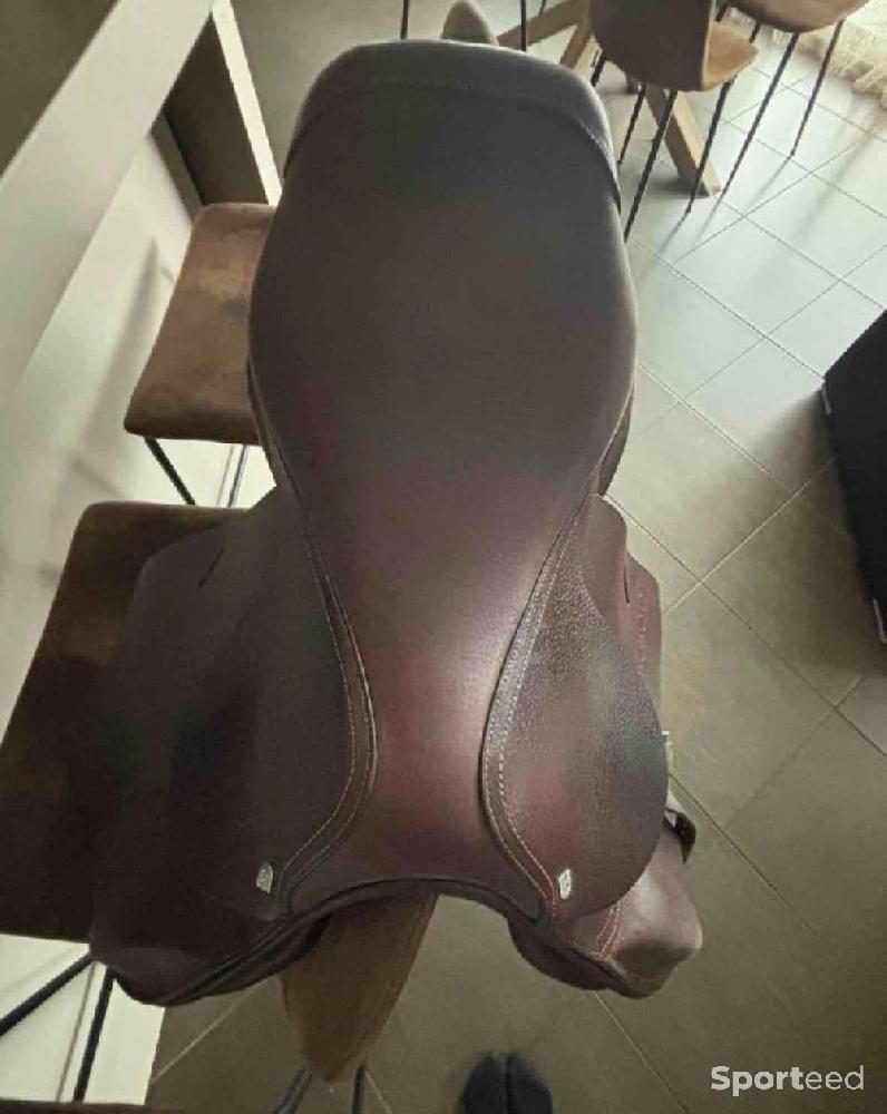 Equitation - selle de cheval - photo 3