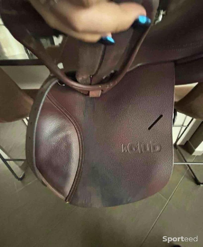 Equitation - selle de cheval - photo 4